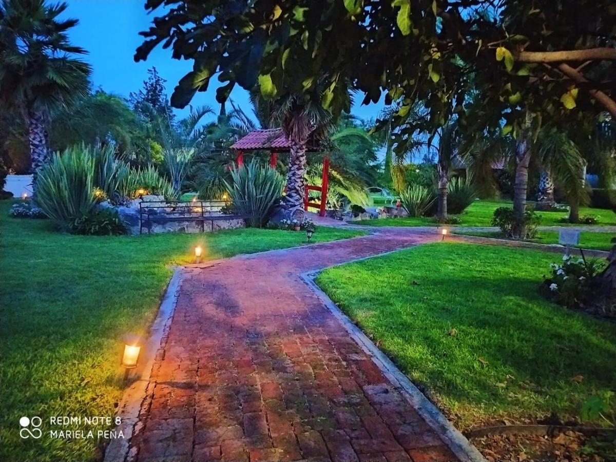 Hotel Palmas Teotihuacan San Juan Teotihuacán エクステリア 写真