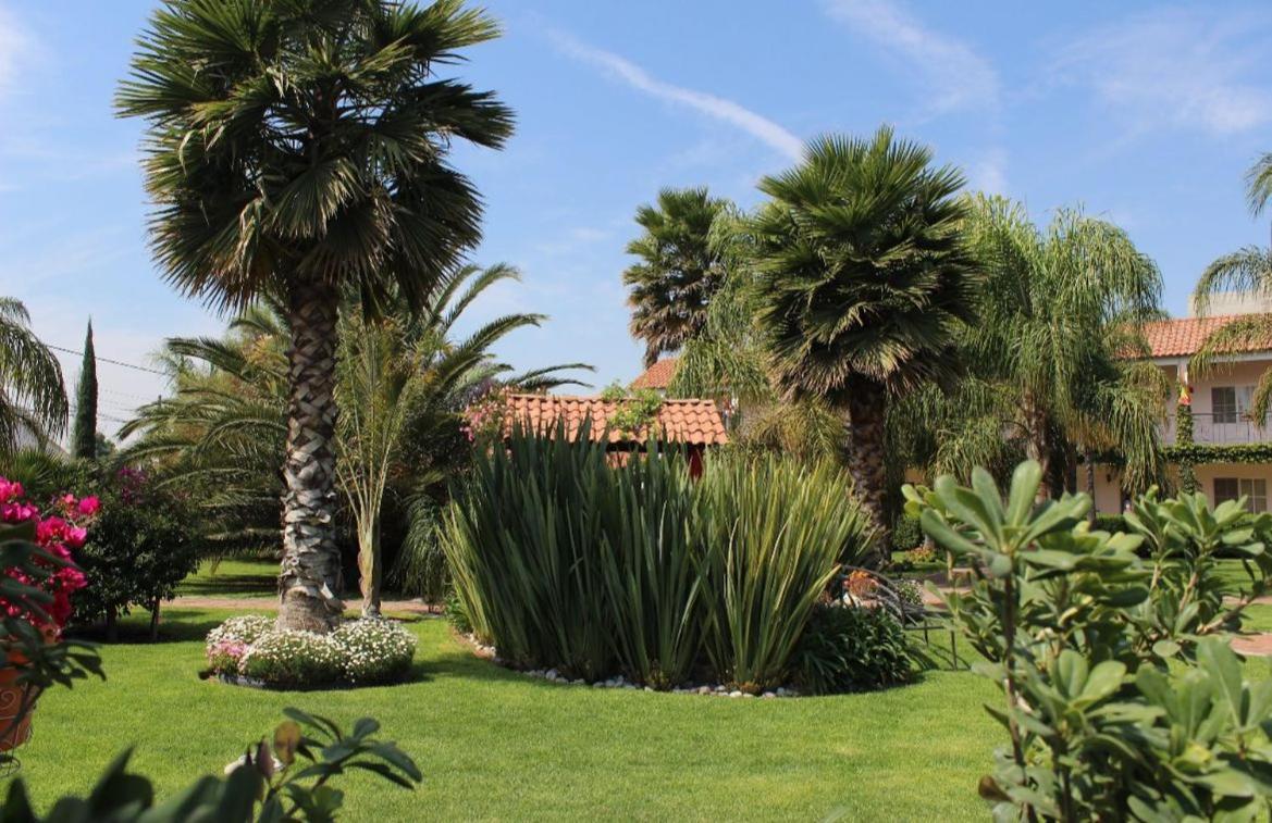 Hotel Palmas Teotihuacan San Juan Teotihuacán エクステリア 写真