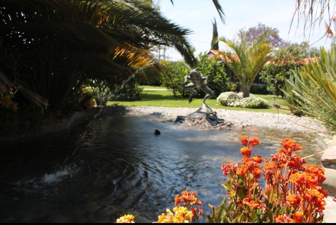 Hotel Palmas Teotihuacan San Juan Teotihuacán エクステリア 写真